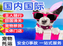 郴州北湖机场快运国际宠物托运 【国